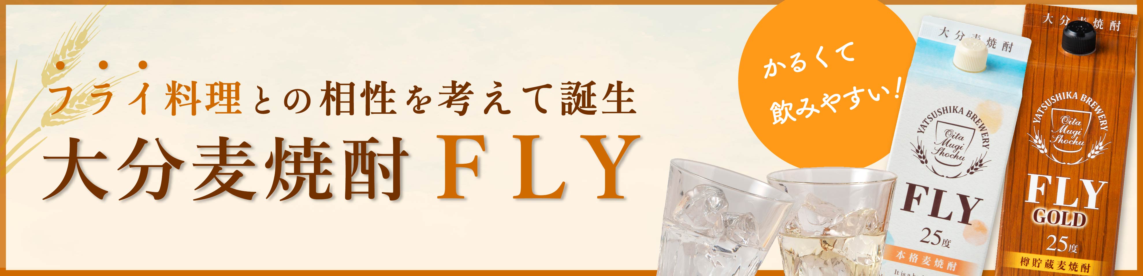 FLY